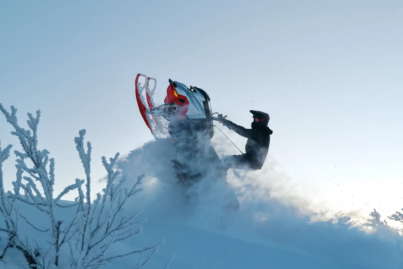 Lynx Shredder