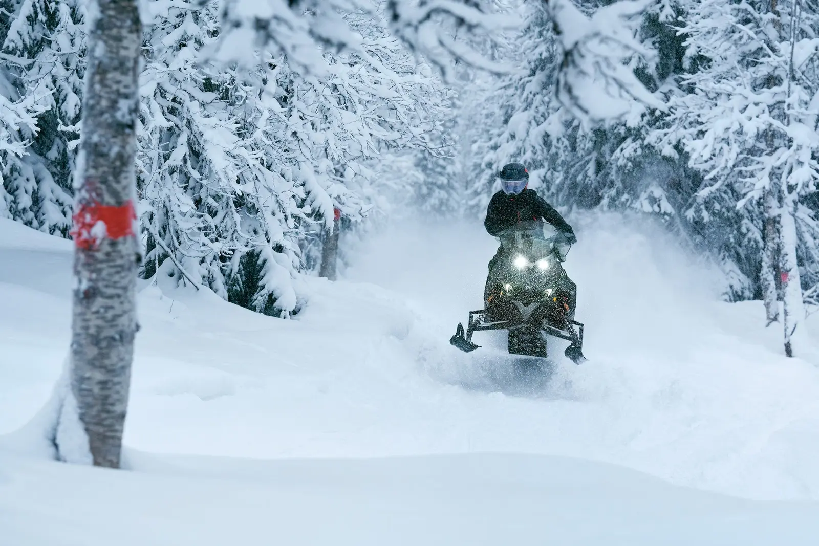 Lynx Xterrain i terrängen
