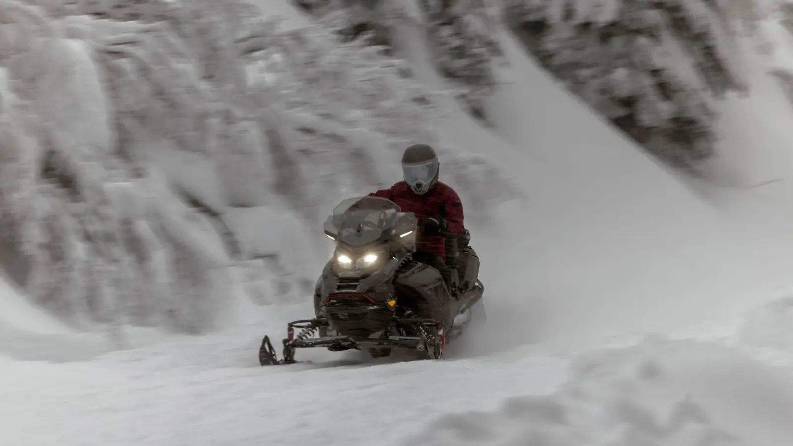 Ski-Doo Renegade